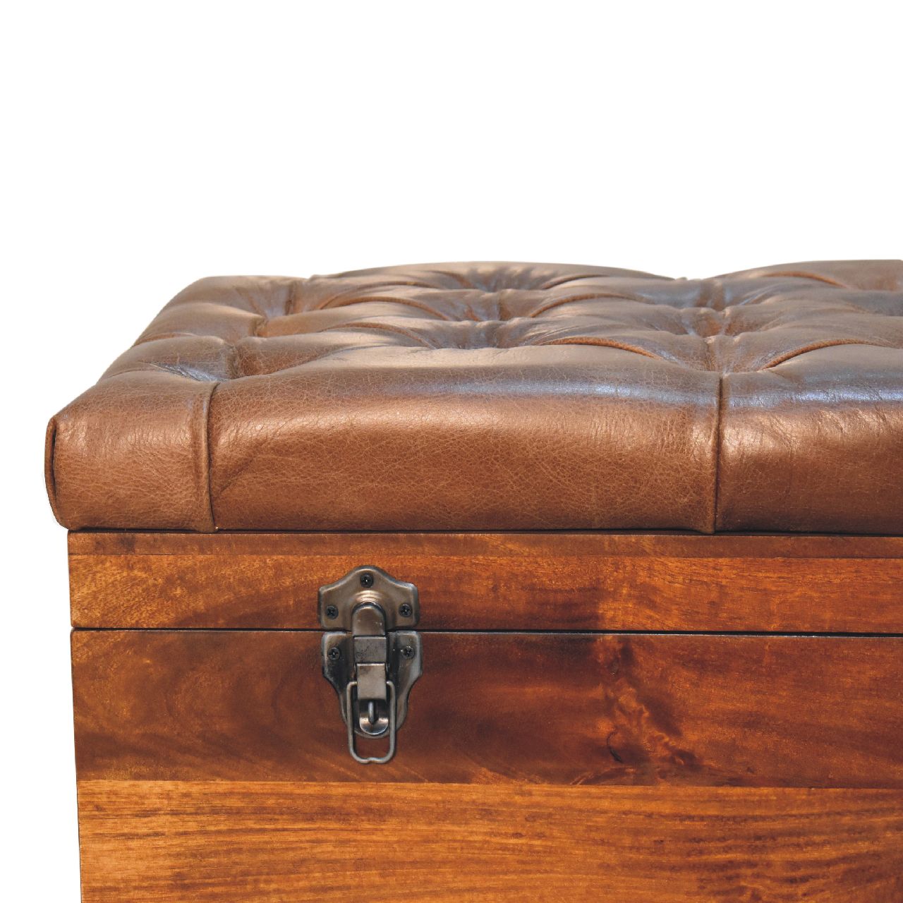 Buffalo Hide Chestnut Storage Trunk - Image 4