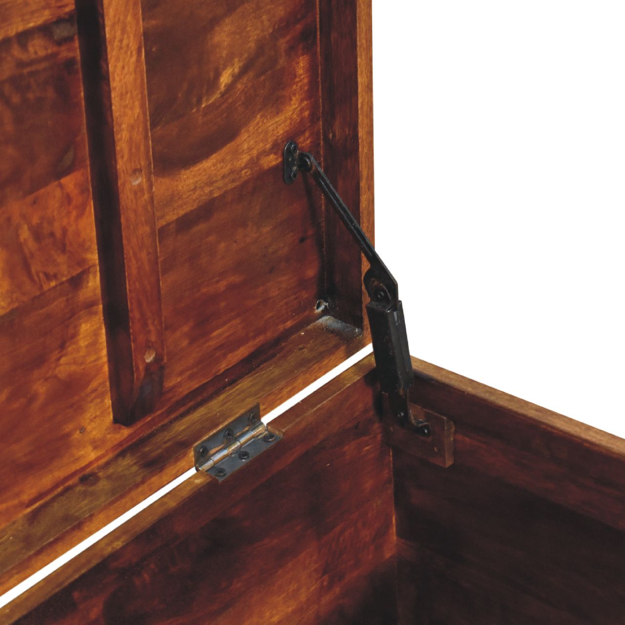 Buffalo Hide Chestnut Storage Trunk - Image 7