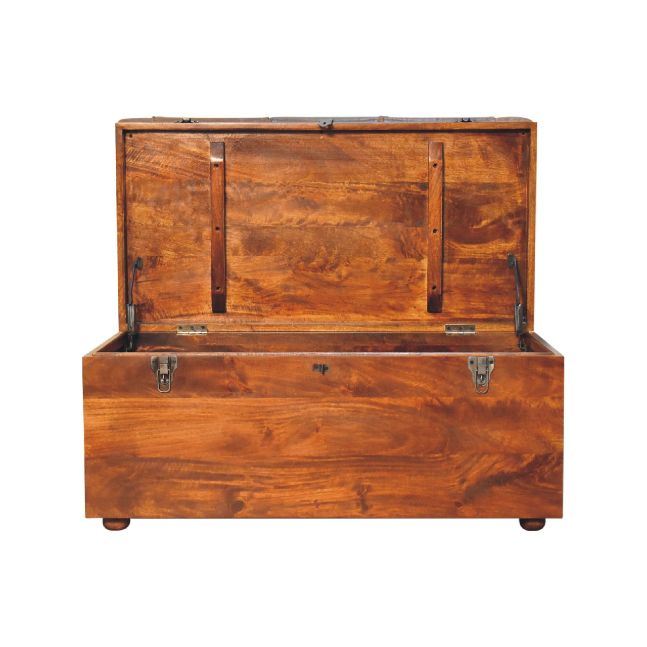 Buffalo Hide Chestnut Storage Trunk - Image 8