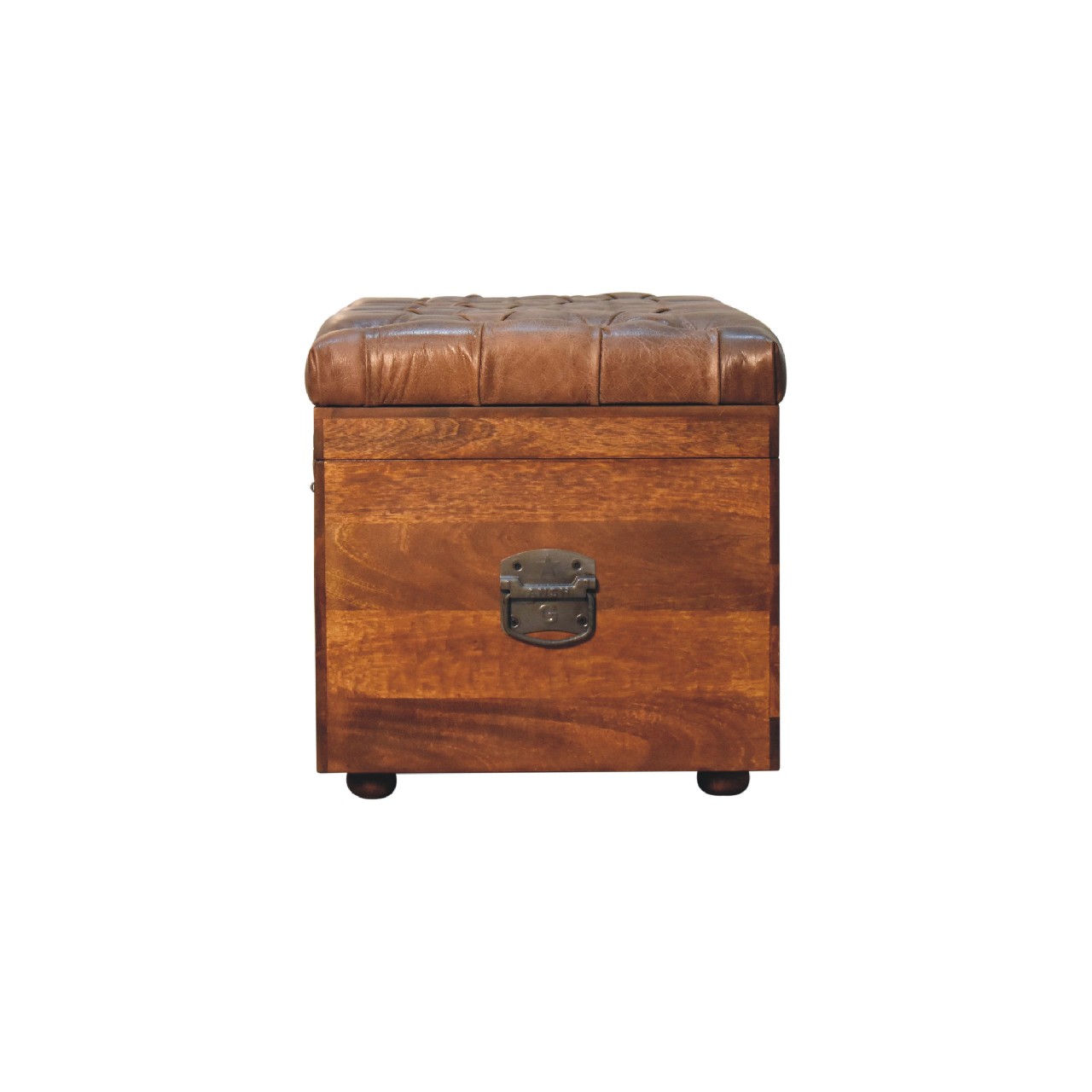 Buffalo Hide Chestnut Storage Trunk - Image 9