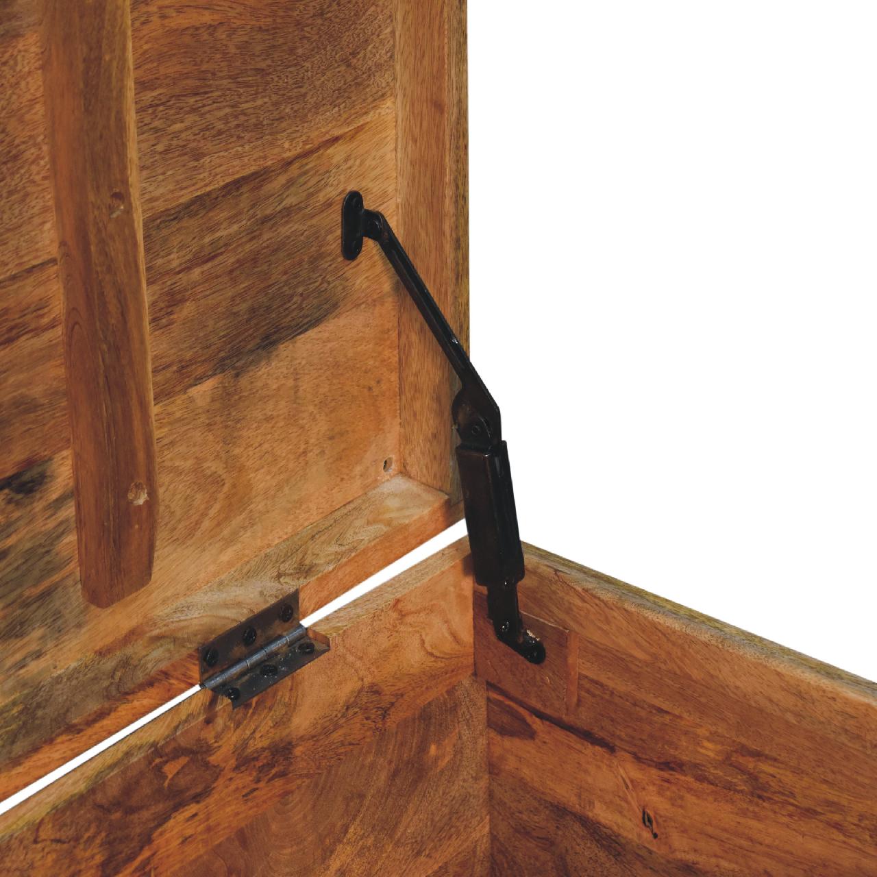 Buffalo Hide Oak-ish Storage Trunk - Image 8